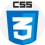 CSS logo